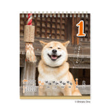 Chatty Shiba Inu Maru Daily Calendar 2027 / Shin Nihon Calendar - bungu