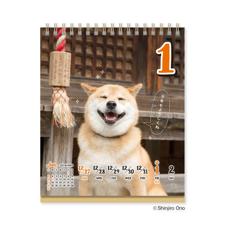 Chatty Shiba Inu Maru Daily Calendar 2027 / Shin Nihon Calendar - bungu