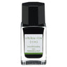 iroshizuku Mini Fountain Pen Ink 15ml / Pilot
