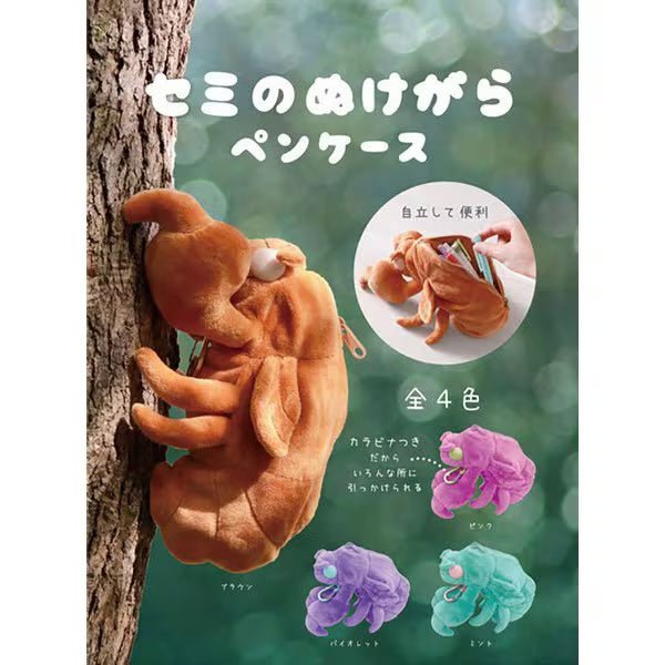 Cicada Shell Pen Case / Sun - Star - bungu