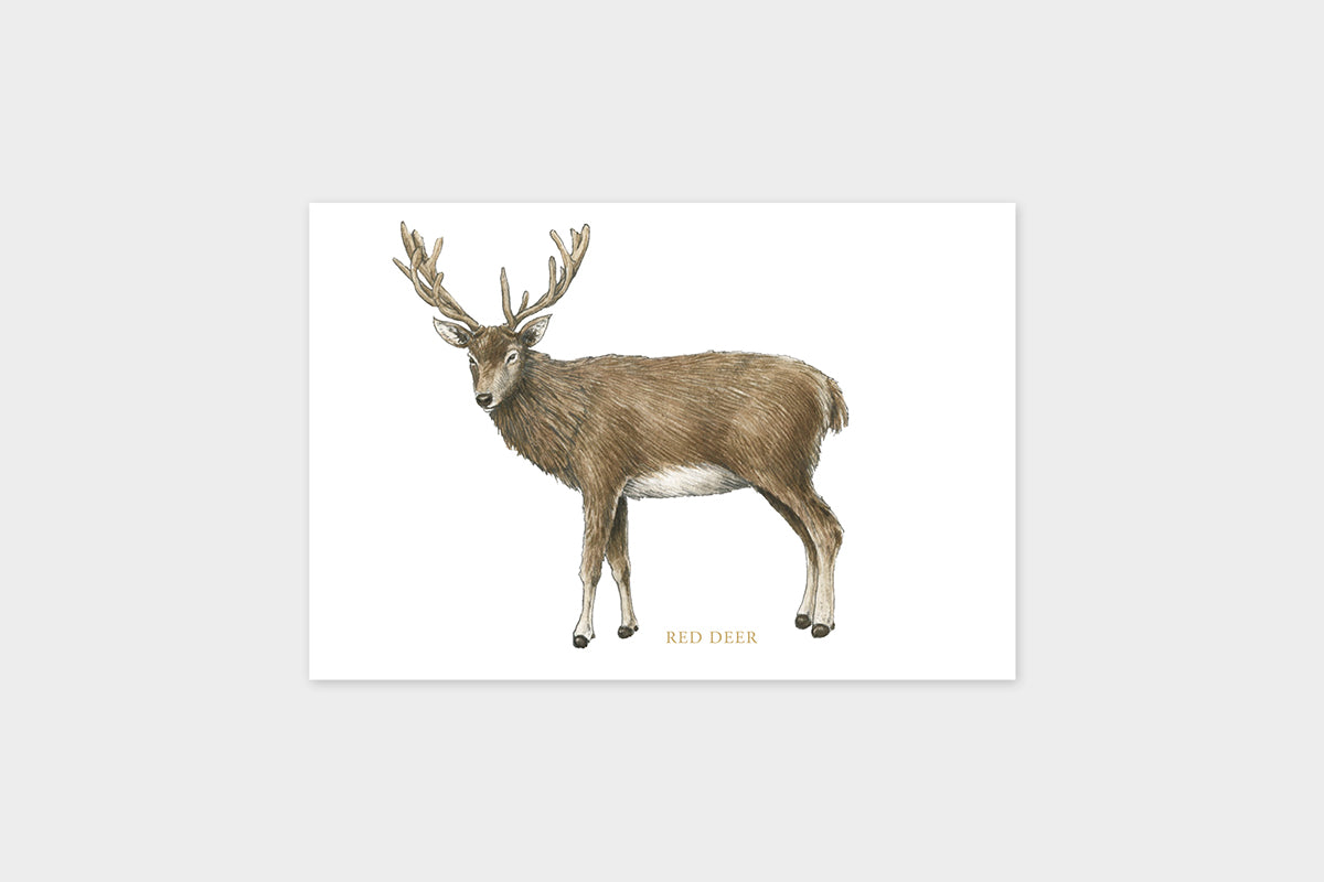 Art Touch Miltata Postcards/ TOUCH & FLOW