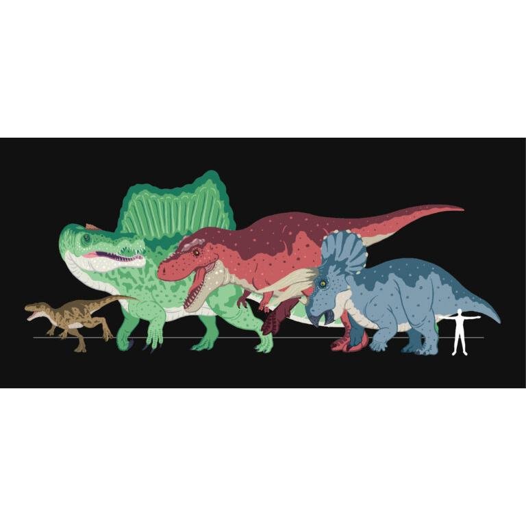 Dinosaur Pencil Set / Tombow - bungu