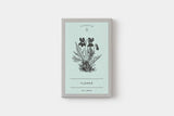 Ex Libris Series / Touch & Flow - bungu