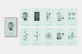 Ex Libris Series / Touch & Flow - bungu