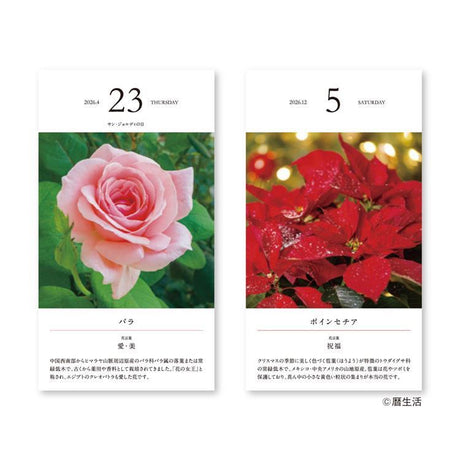 Flower Daily Calendar 2026 / Shin Nihon Calendar - bungu