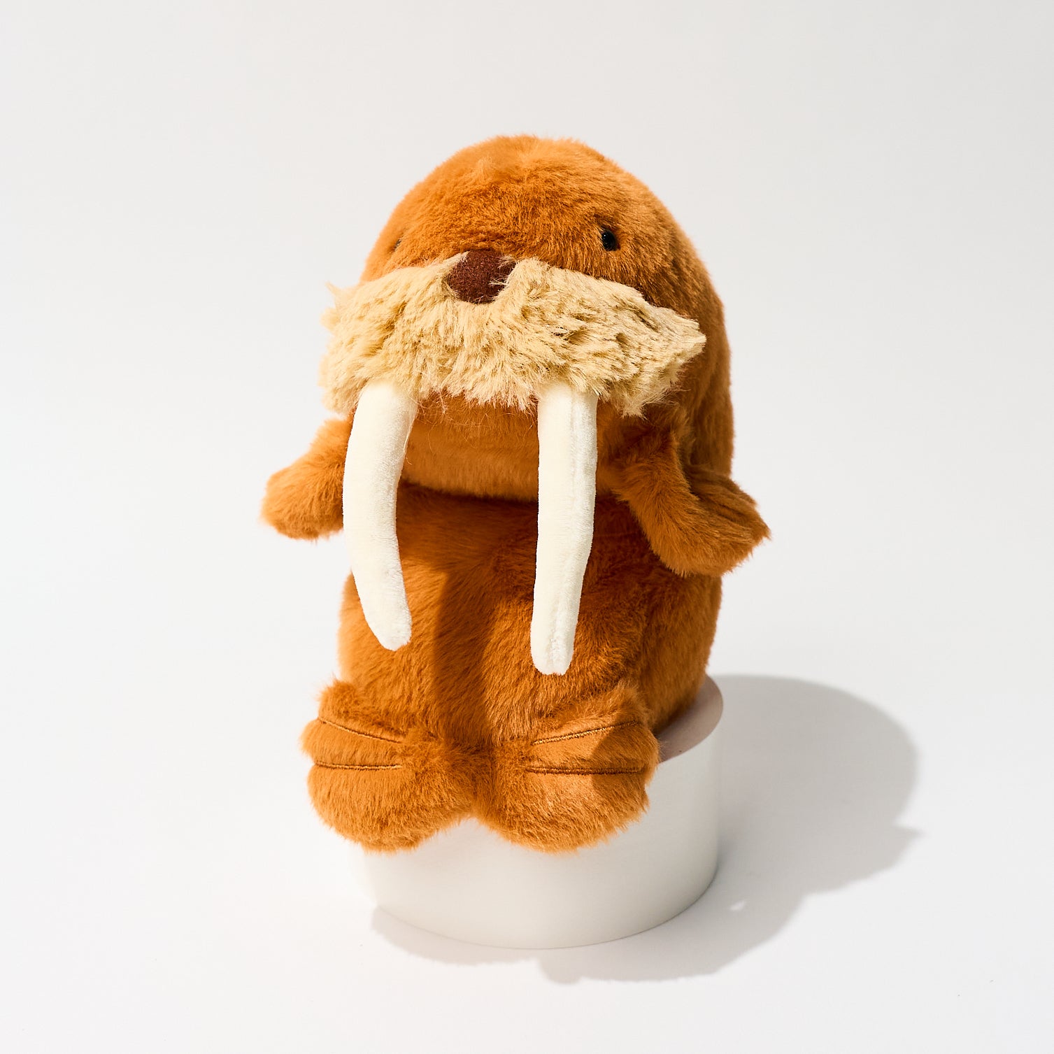 Funbaruz Posture Pal / Dreams – bungu