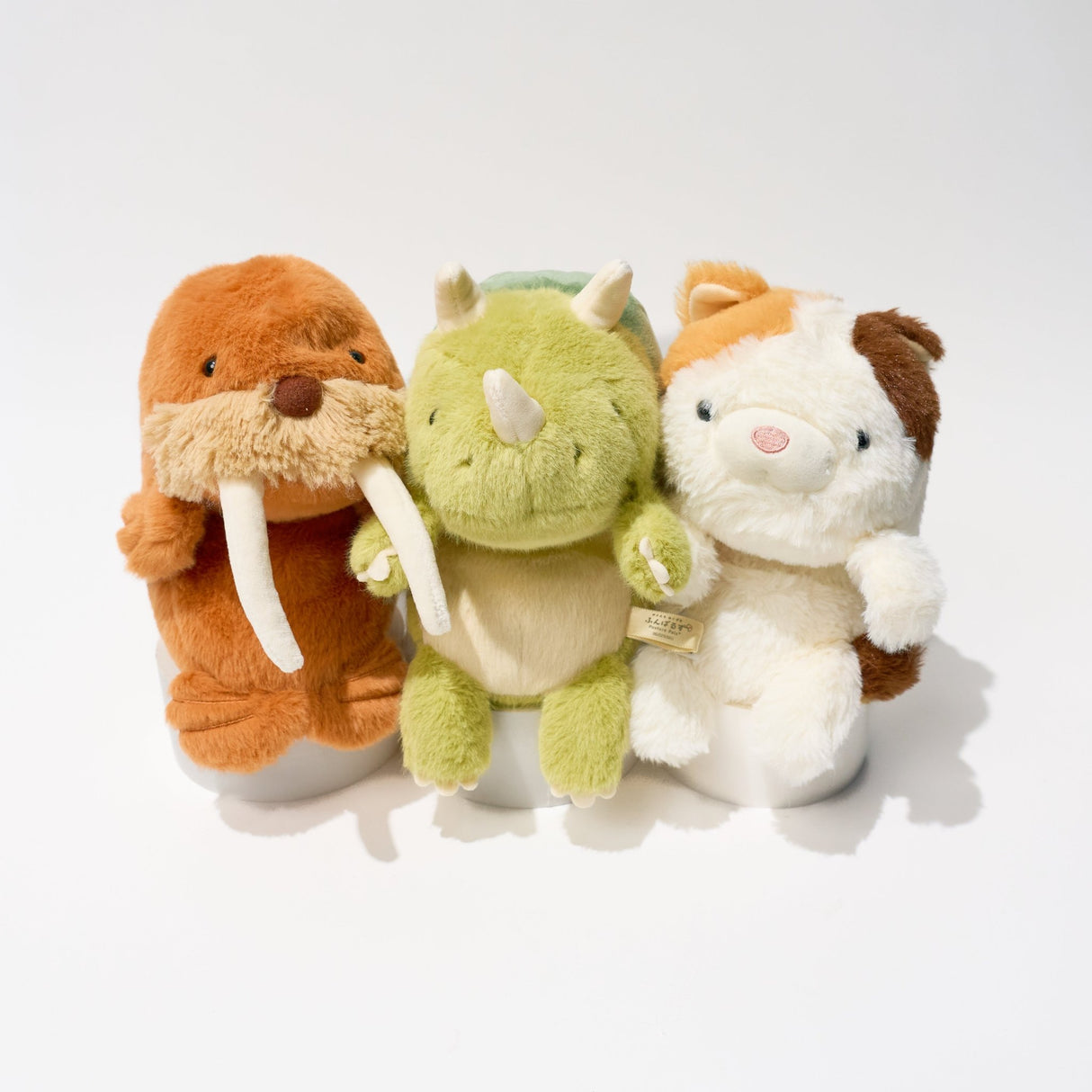 Funbaruz Posture Pal / Dreams - bungu