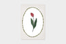 Art Touch pampeliska Floral Pattern Postcards / TOUCH & FLOW