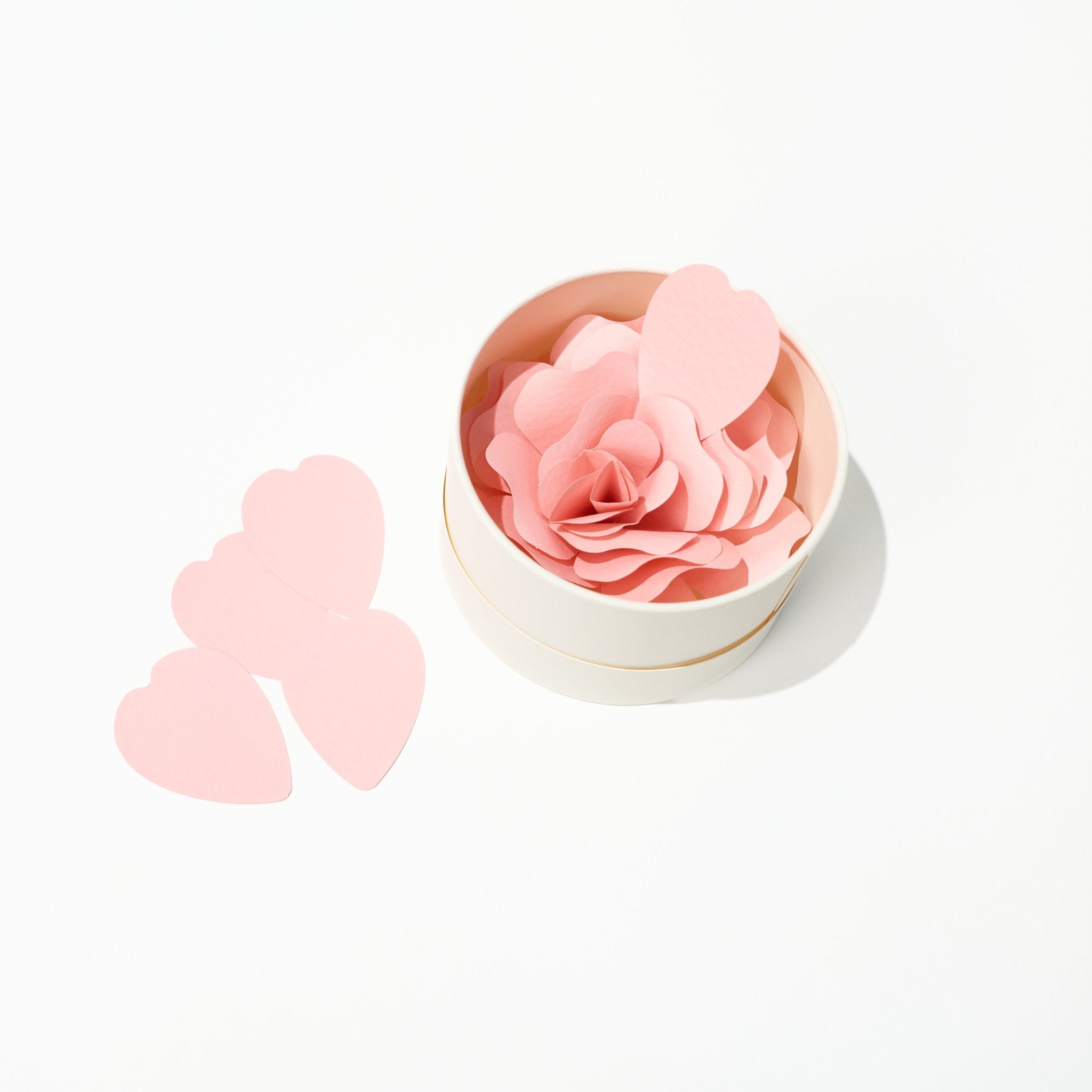Hanafumi Paper Flower Card / archshop – bungu