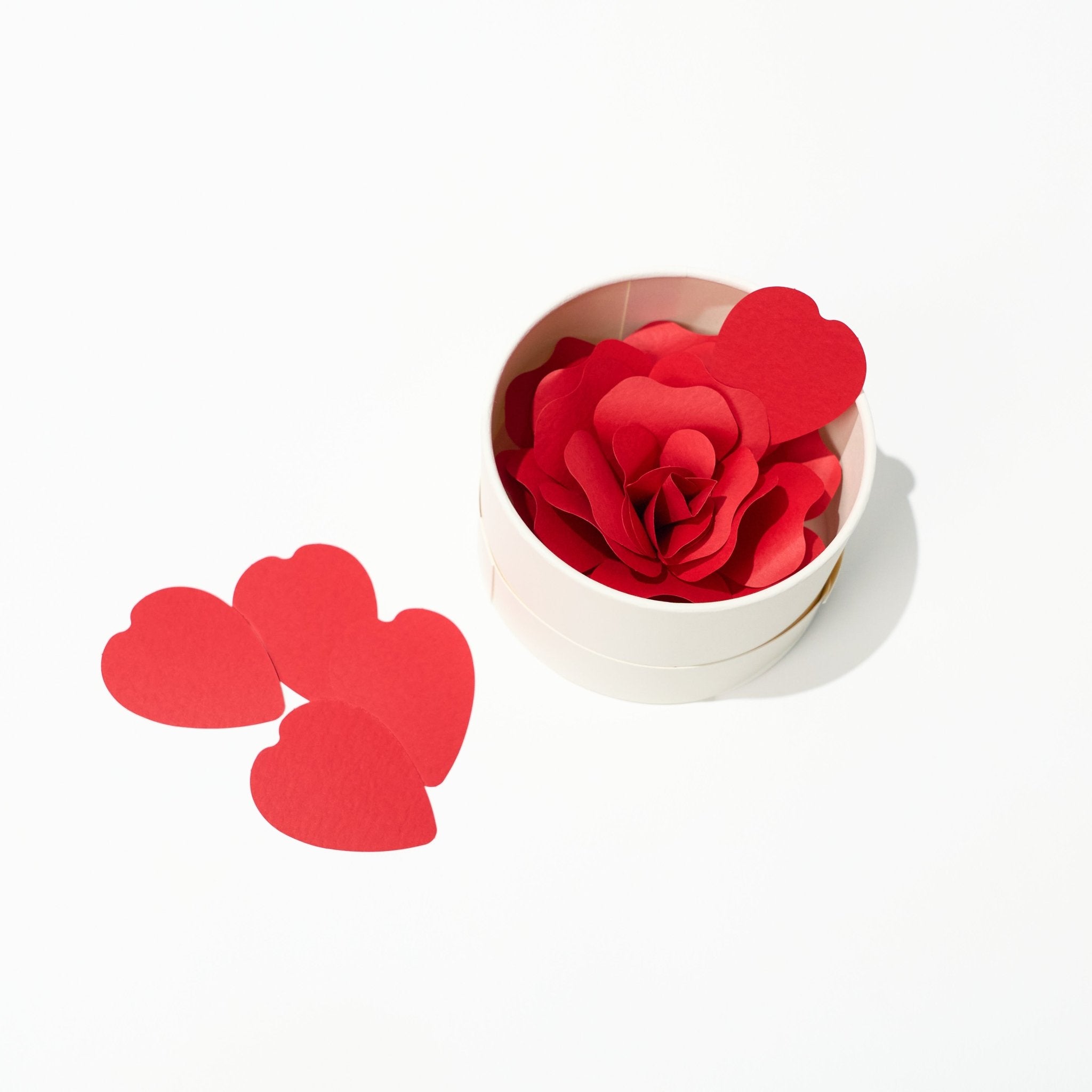 Hanafumi Paper Flower Card / archshop – bungu