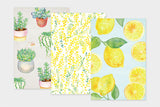Art Touch haruiro Postcards / TOUCH & FLOW