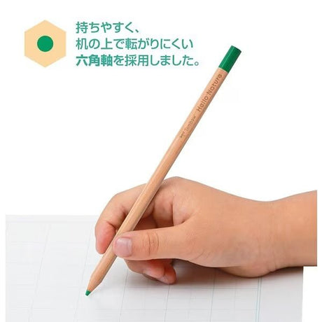 Hello Nature Wooden Color Pencil Set / Tombow - bungu