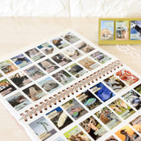 himekuri 2026 Daily Calendar / himekuri - bungu