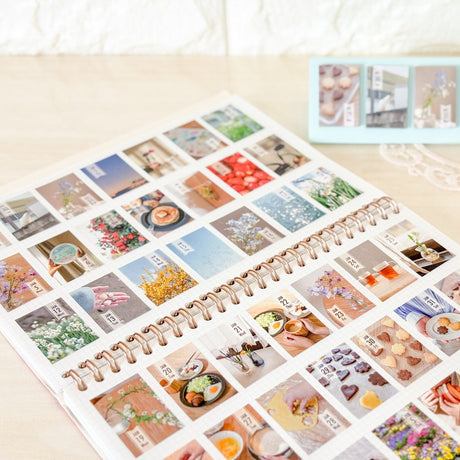 himekuri 2026 Daily Calendar / himekuri - bungu