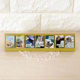 himekuri 2026 Daily Calendar / himekuri - bungu