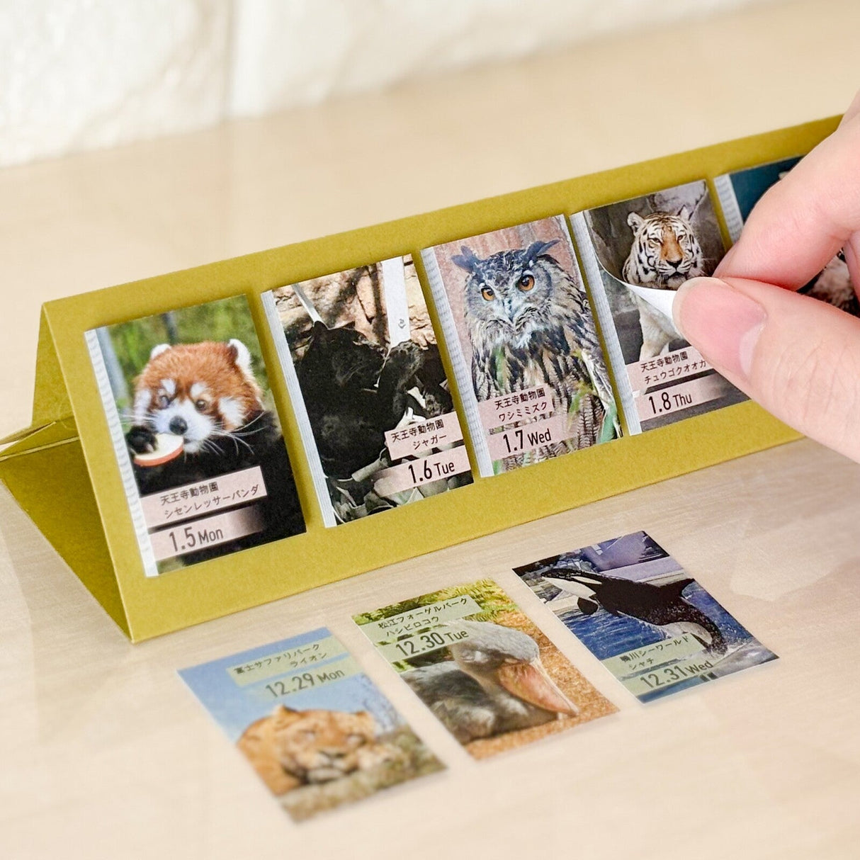 himekuri 2026 Daily Calendar / himekuri - bungu