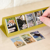 himekuri 2026 Daily Calendar / himekuri - bungu