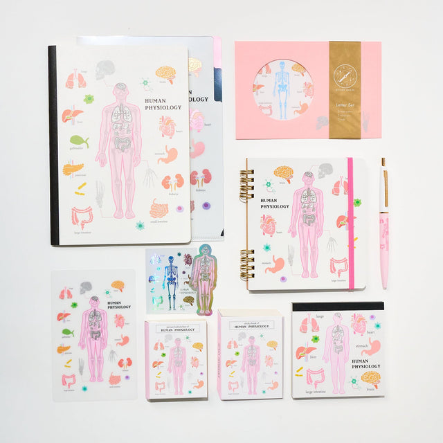 Human Physiology STUDY HOLIC Bundle / GreenFlash - bungu