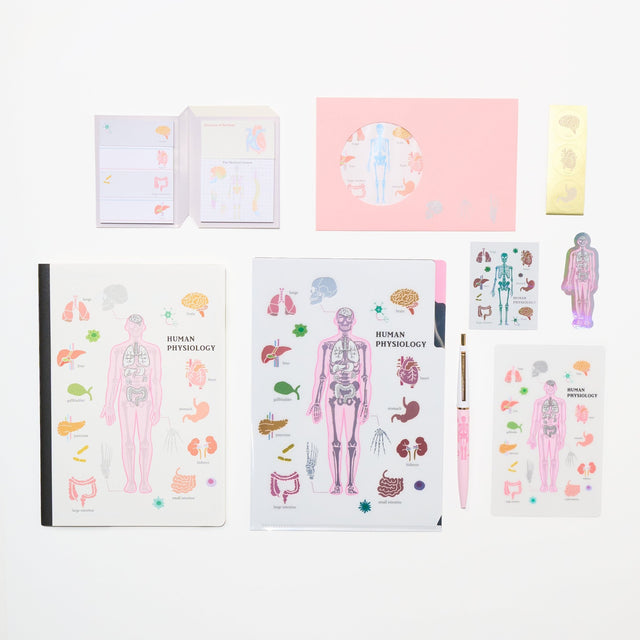 Human Physiology STUDY HOLIC Bundle / GreenFlash - bungu