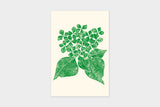 Art Touch Yuki Koida Postcards / TOUCH & FLOW