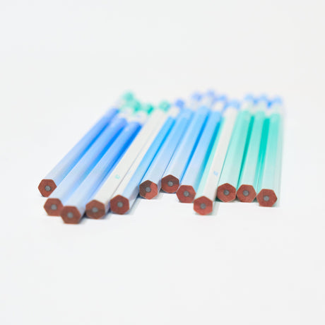 ippo! Clearly Erasable Writing Wooden Pencil / Tombow - bungu
