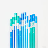 ippo! Clearly Erasable Writing Wooden Pencil / Tombow - bungu