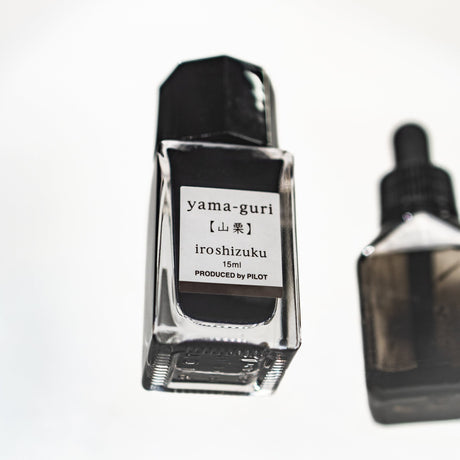 iroshizuku Mini Fountain Pen Ink 15ml / Pilot - bungu