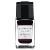 iroshizuku Mini Fountain Pen Ink 15ml / Pilot - bungu
