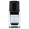 iroshizuku Mini Fountain Pen Ink 15ml / Pilot - bungu
