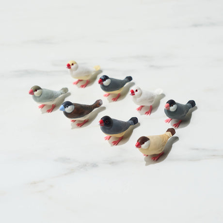 Java Sparrow Vol. 5 Gacha Capsule - bungu