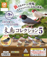 Java Sparrow Vol. 5 Gacha Capsule - bungu