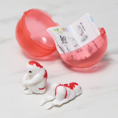 Koi - Man Gacha Capsule - bungu