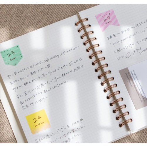 [Limited] Coco Fusen Katanuki Sticky Notes / Kanmido - bungu