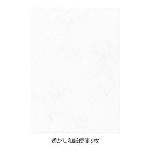 [Limited] Letter Paper A5 Watermark Echizen Washi / MIDORI - bungu