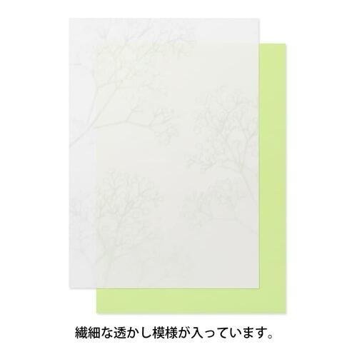 [Limited] Letter Paper A5 Watermark Echizen Washi / MIDORI - bungu