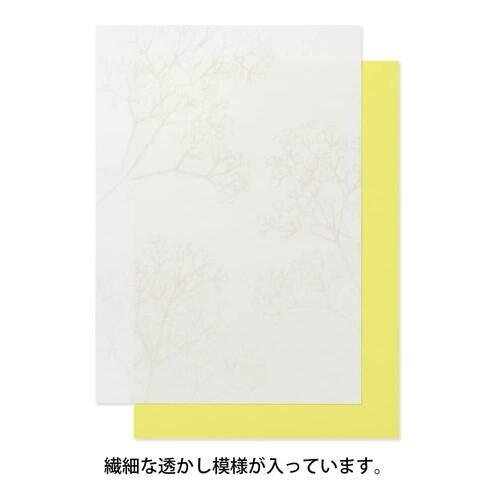 [Limited] Letter Paper A5 Watermark Echizen Washi / MIDORI - bungu