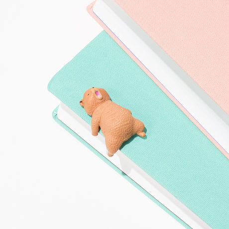 Little Bear Resting on the Edge Gacha Capsule - bungu