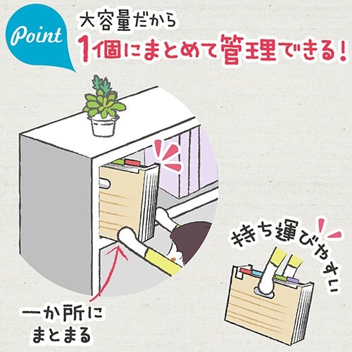 Livgak Poi-wake Box File 13 Pockets A4 / Sonic - bungu
