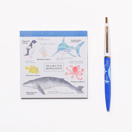 Marine Biology STUDY HOLIC Bundle / GreenFlash - bungu