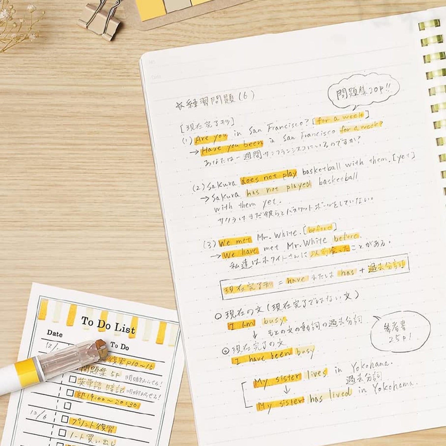 Marktus Dual Tone Color Marker Set / KOKUYO - bungu