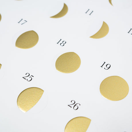Michiru Moon Phase Wall Calendar 2027 / Replug - bungu