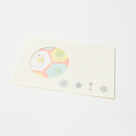 Microbiology STUDY HOLIC Bundle / GreenFlash - bungu