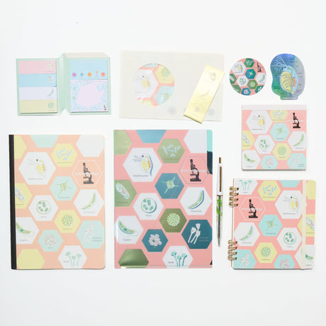 Microbiology STUDY HOLIC Bundle / GreenFlash - bungu