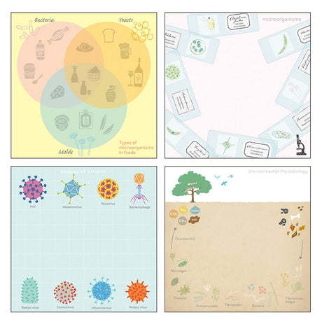 Microbiology STUDY HOLIC Bundle / GreenFlash - bungu