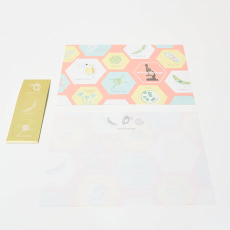 Microbiology STUDY HOLIC Bundle / GreenFlash - bungu