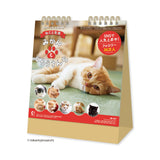 Mikan and Jirosanchi Cats Desk Calendar 2027 / Shin Nihon Calendar - bungu
