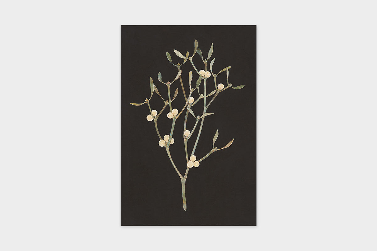 Art Touch Sasaki Megumi Floral Postcards / TOUCH & FLOW