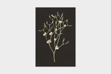 Art Touch Sasaki Megumi Floral Postcards / TOUCH & FLOW