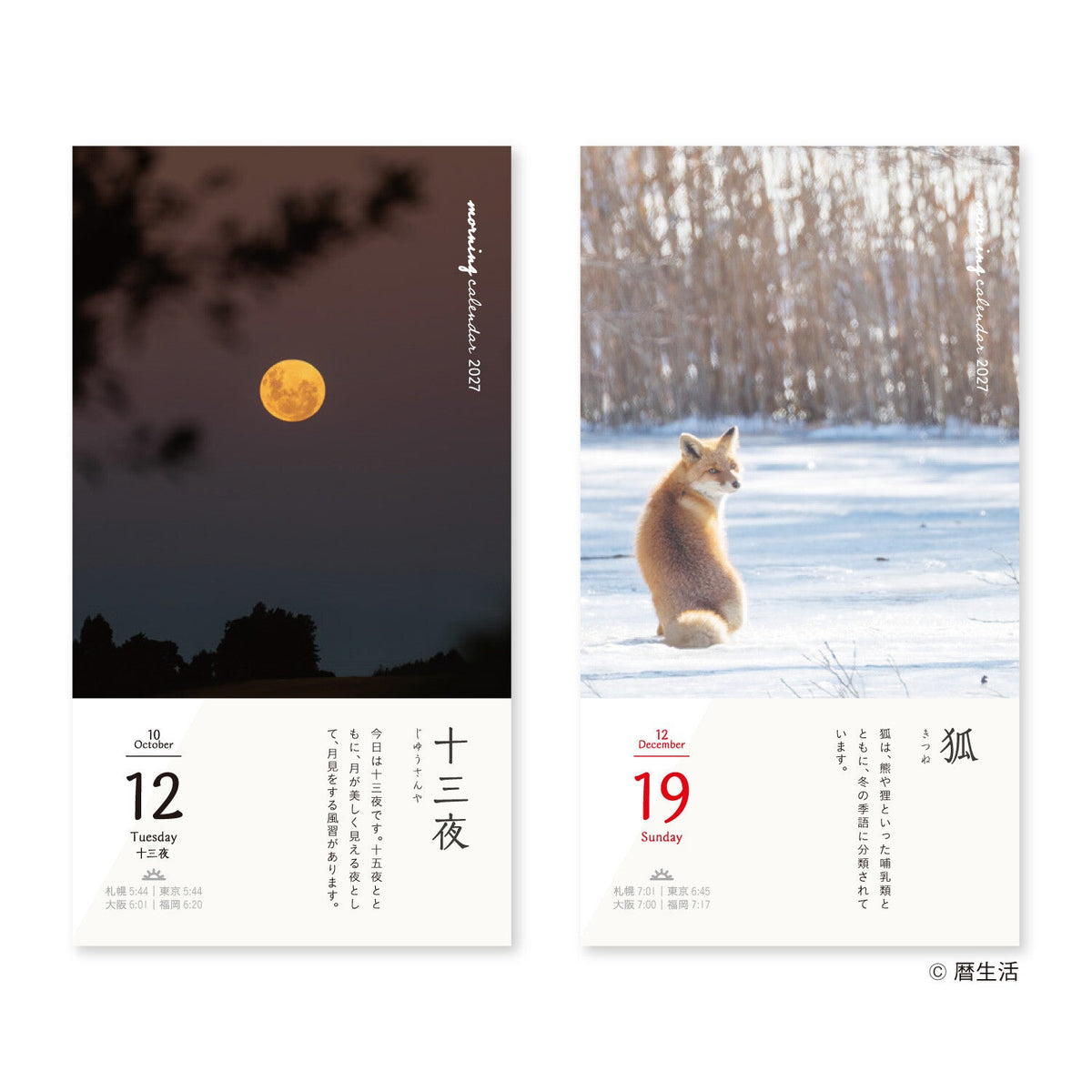 Morning Daily Calendar 2027 / Shin Nihon Calendar - bungu