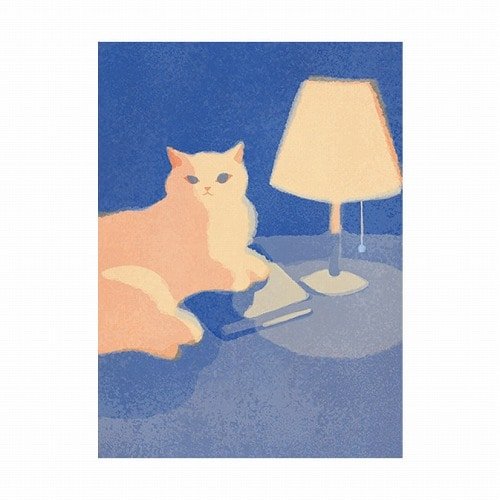 mula Letter Set / RYU - RYU - bungu